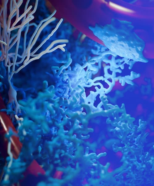 The Neuro-Glia-Vasculature Portal