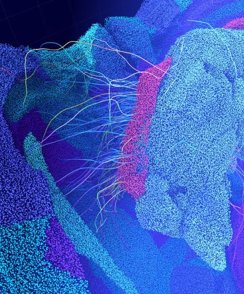 The Topological Sampling Data Studio