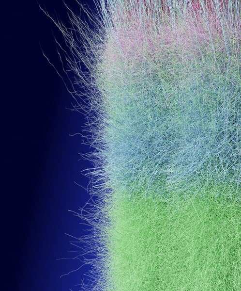 The Neocortical Microcircuit Collaboration Portal