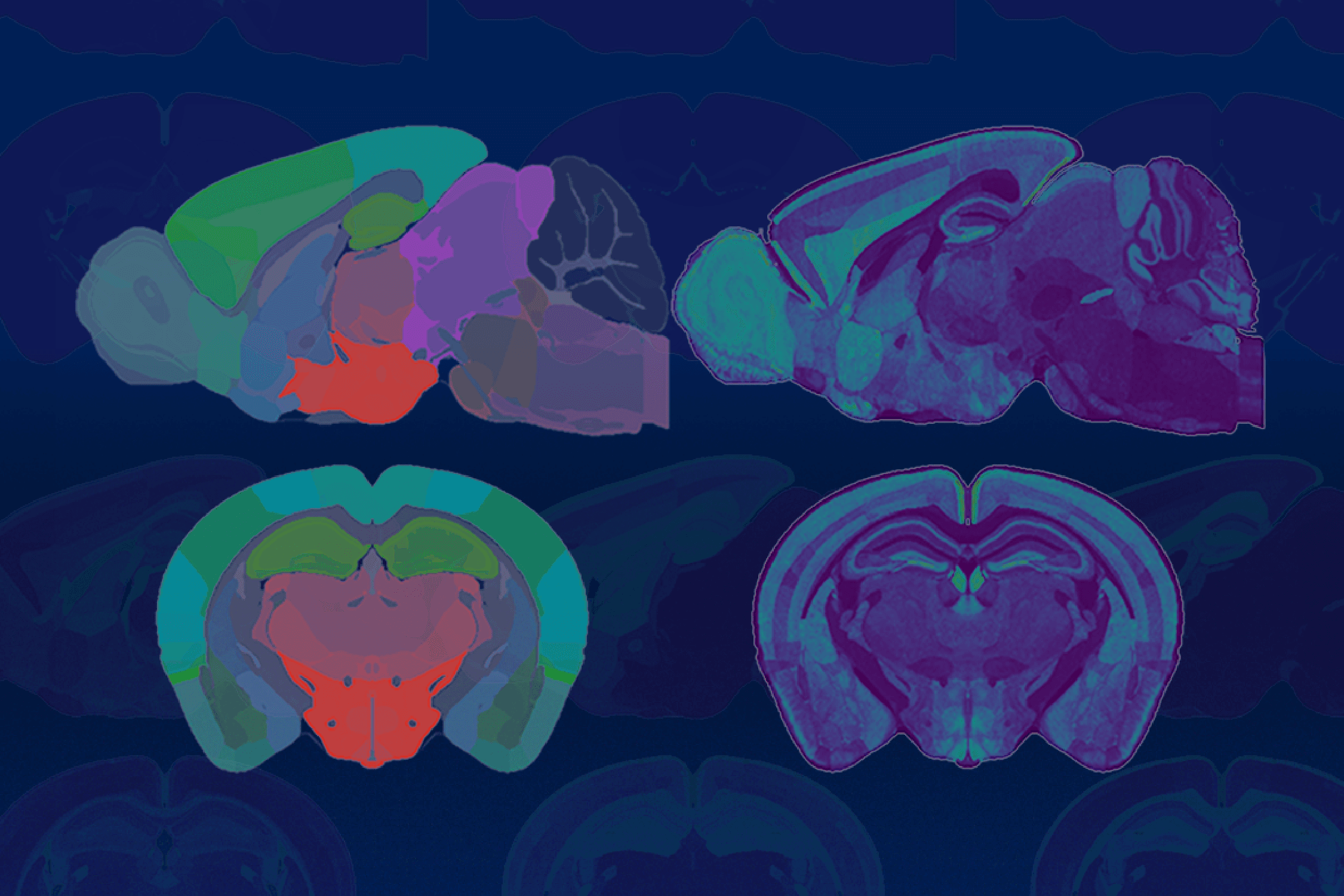 Our new paper in PLOS Computational Biology