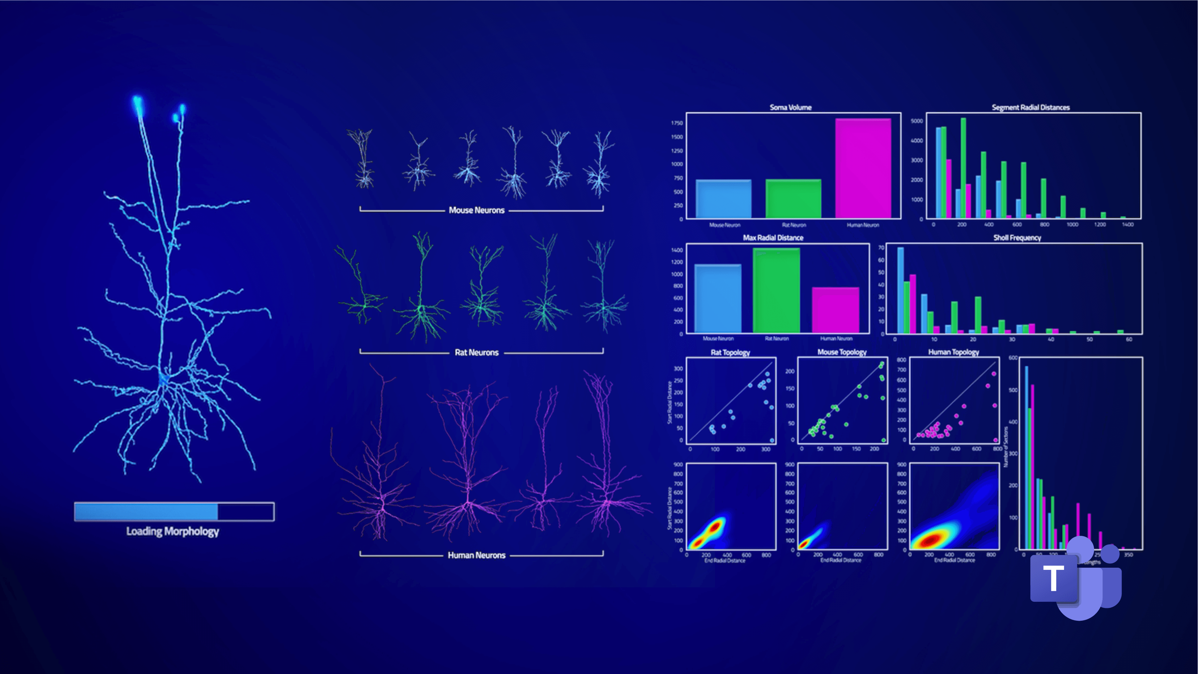 Webinar | From Neuronal Morphologies to Insights using the OBI Virtual Labs